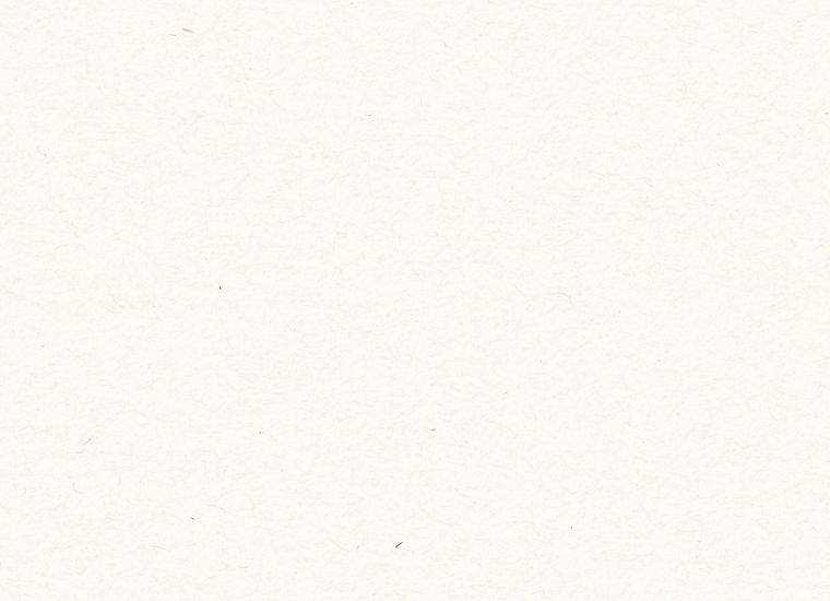 すっぽんレストランメニュー_A3_ura_CS6_ページ_1_画像_0001_edited.jpg