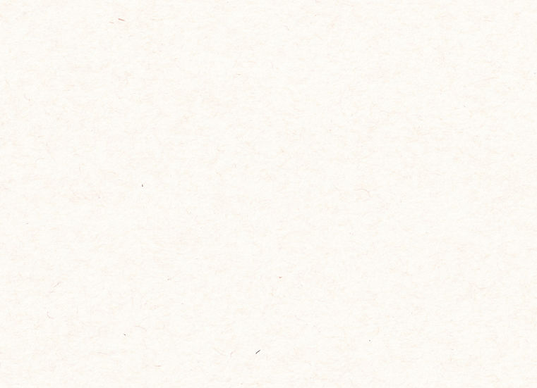 すっぽんレストランメニュー_A3_ura_CS6_ページ_1_画像_0001_edited.jpg