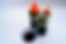 20240522-DSC01676.jpg