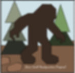 BIg Foot Strut©