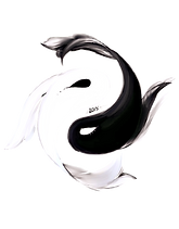 kisspng-koi-yin-and-yang-yin-yang-fish-tattoo-drawing-creative-fish-taiji-bagua-5a987c8d6f