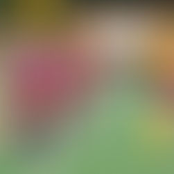 THE SHC SEASON 25/26 Q1 ROUND UP - Get up to speed with things so far🏑