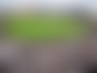 Hosting Strategy For Mississippi State: Priority One Is Winning SEC Games