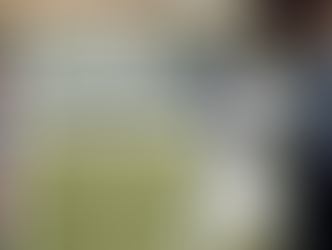 Vanderbilt Surviving the Early Growing Pains