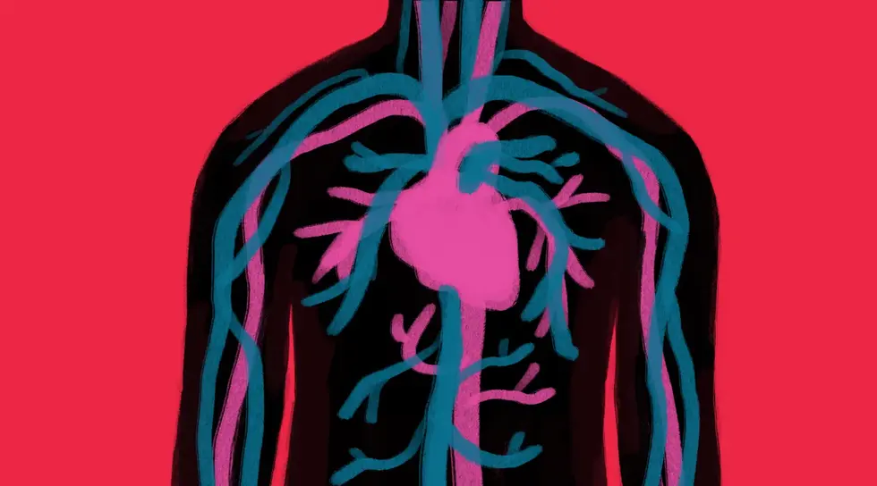 Cardiovascular Health
