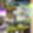 Thumbnail: Dragon Village Collection Card Vol. 7