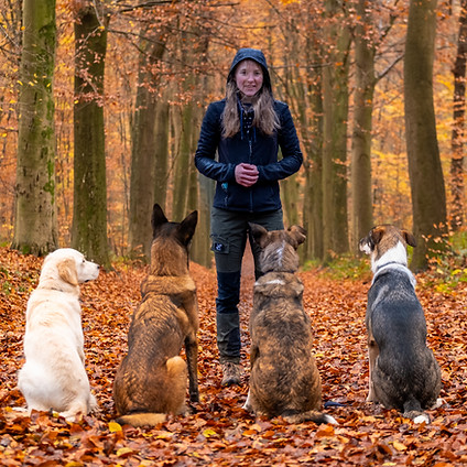 Poils émoi photo.jpeg