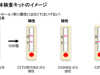【新型コロナウィルス検査キット】