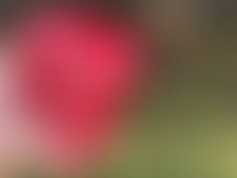 These are some of my favorite’s that I finished this week.