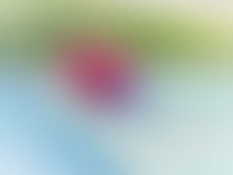 Good morning Gorgeous!