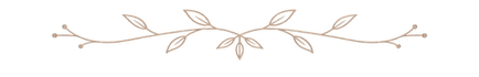 C2D4FABD-1968-4250-B43B-CBECB10B0A0E.png