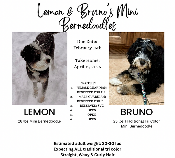 Copy of Copy of Orange And White Modern Minimalist Hello Fall Instagram Post - 1.png