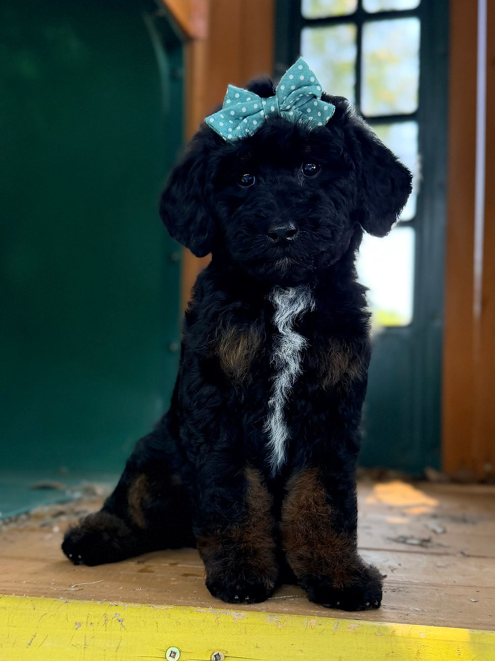 Skye