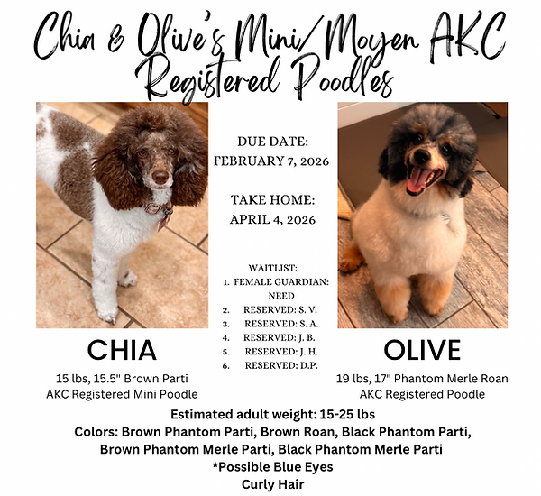 Copy of Copy of Orange And White Modern Minimalist Hello Fall Instagram Post - 2.png