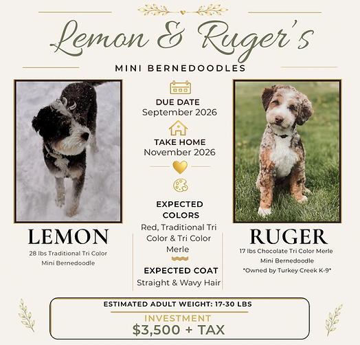 UPCOMING LITTER - 3.png