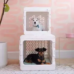 KindTail Kennel
