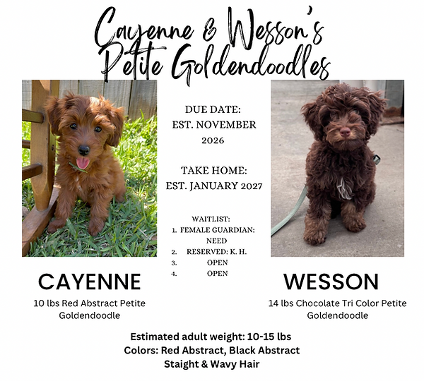 Copy of Copy of Orange And White Modern Minimalist Hello Fall Instagram Post - 8.png