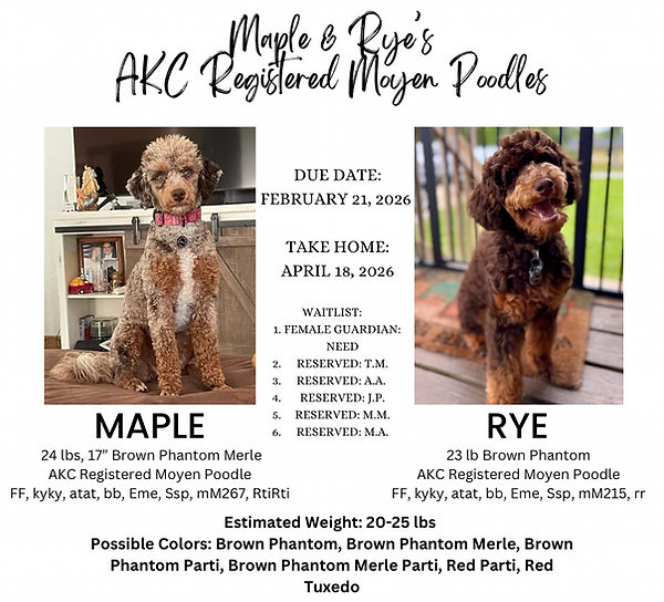 Copy of Copy of Orange And White Modern Minimalist Hello Fall Instagram Post - 4.png