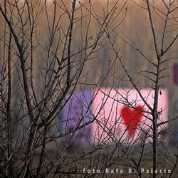 la casita del bosque- Love is a game.jpg