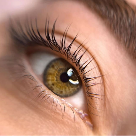 BROW/LASH LAMINATION/WAX/TINT