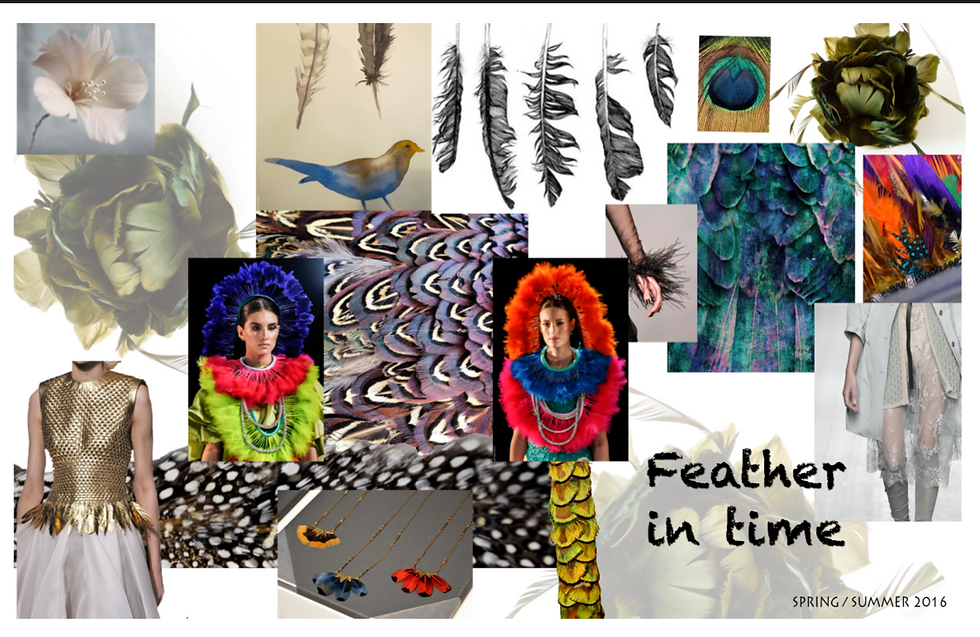 Feathers In Time