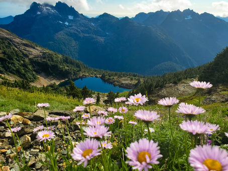 Alpine Reflections