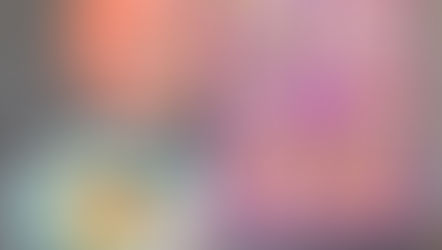 Volunteer Spotlight: Miranda