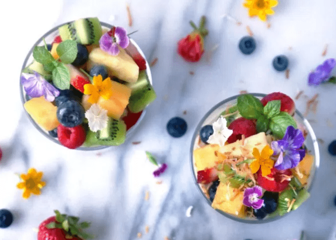 Coconut Pudding & Fruit
