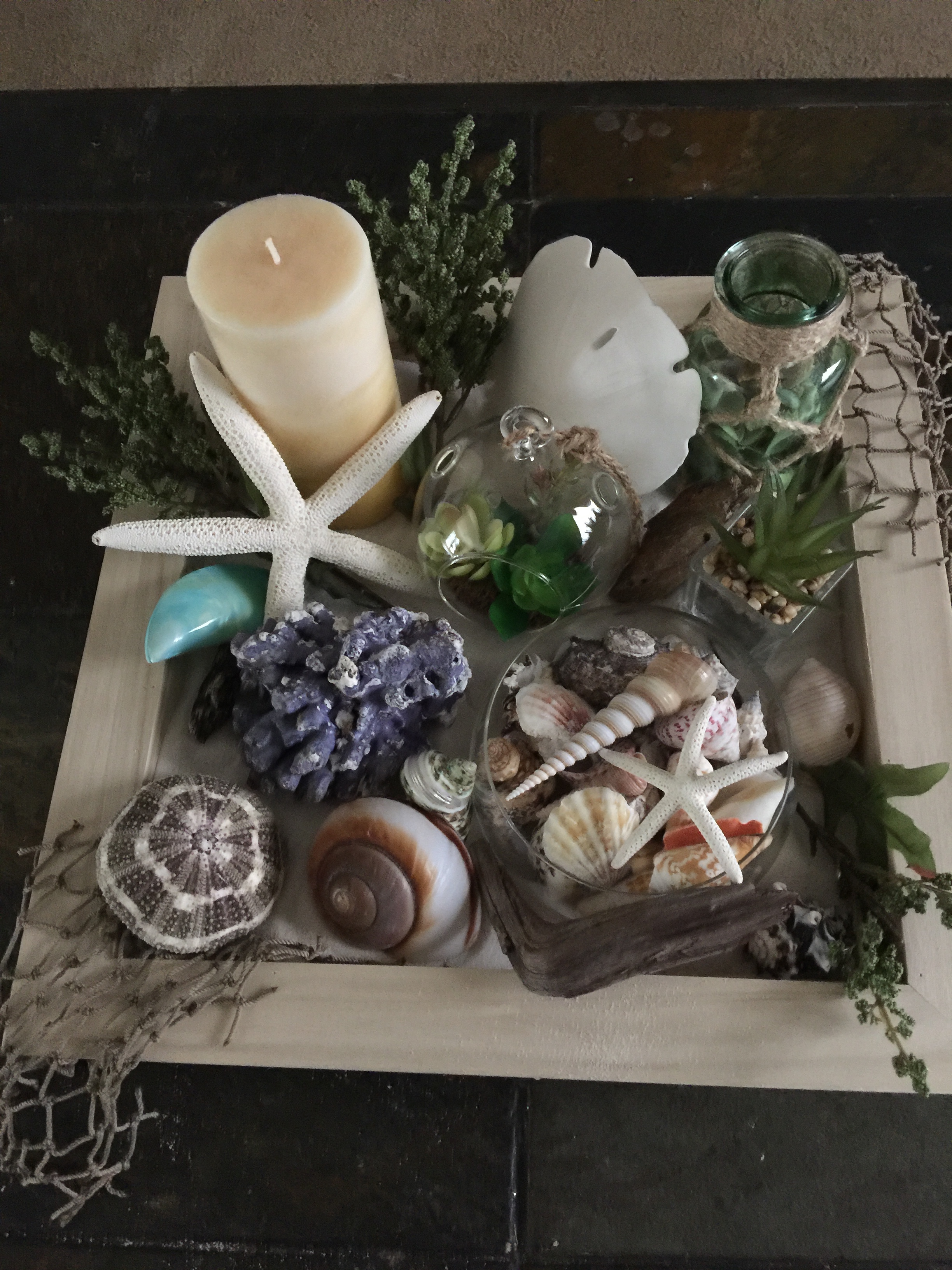 Sea Treasure Shadow Box