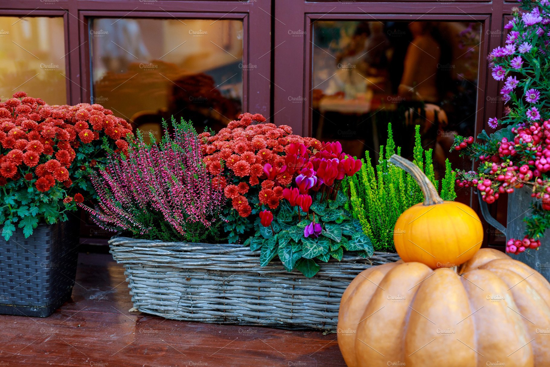 Autumn Florals