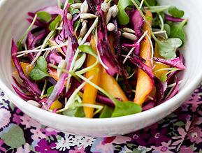 Red Cabbage & Mango Slaw