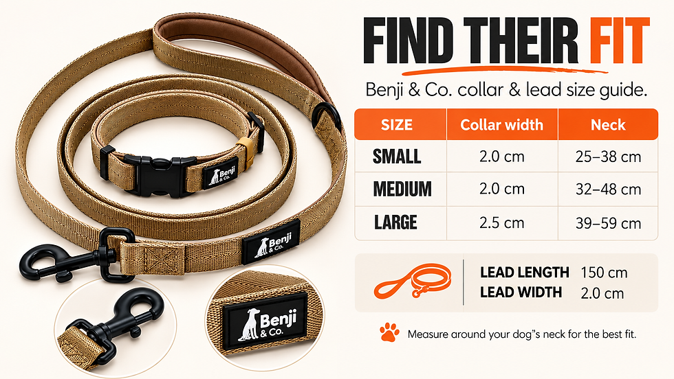 Thumbnail: The Benji Lead & Collar set