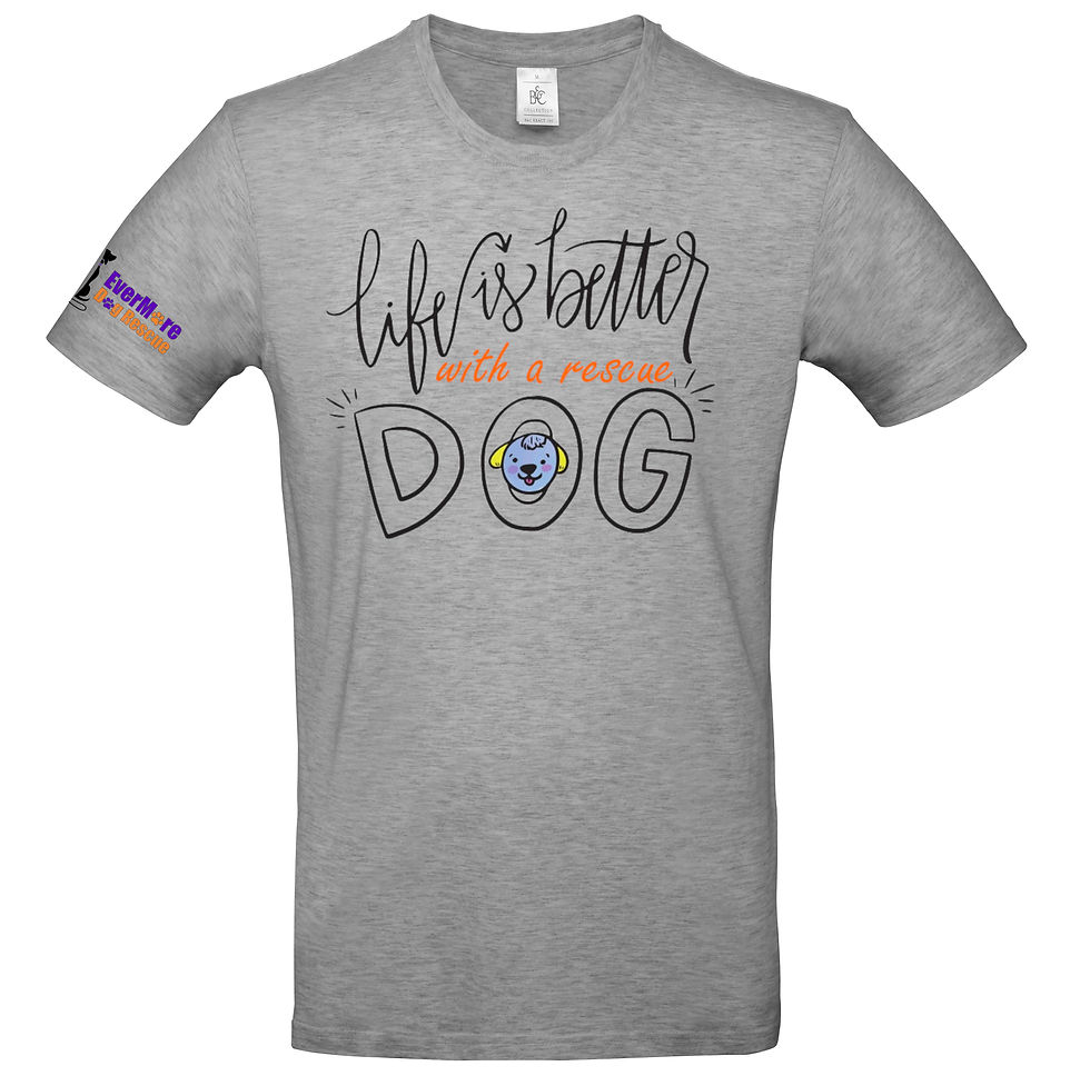 Thumbnail: EVERMORE RESCUE TEE