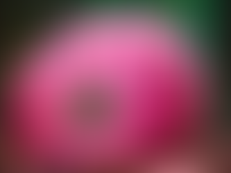 Просто улыбайтесь тем, кто говорит Вам гадости