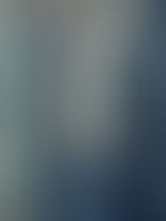 Fast Paced Consumerism in Architecture