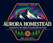 Orange and Black Modern Flame Logo (1)_e