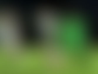 MIÉRCOLES Y SÁBADO INICIARA JUÁREZ Y TOLUCA LA LIGUILLA DEL APERTURA 2025.