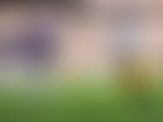 PITTSBURGH BRILLA EN LA SEMANA 14 DE LA NFL.