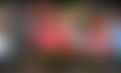 BAJAS Y ALTAS DEL FUTBOL MEXICANO.