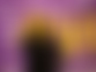 VISUALIZA DAREL TORRES UN EXCELENTE AÑO PARA DORADOS EN LA LMB.