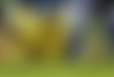 ALEJANDRO ZENDEJAS CAUSA BAJA EN AMERICA.