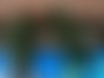 SUDÁFRICA SE INSTALÓ EN LOS OCTAVOS DE FINAL DE LA COPA AFRICANA DE NACIONES; SERÁ EL RIVAL DE MEXICO EN EL MUNDIAL