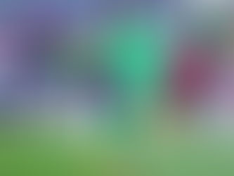 BRAVOS VA POR RECORD DE PUNTOS EN LA JORNADA  13.