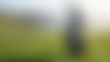 How Pro Golfers Turn Their Apparel Into a Seven-Figure Sponsorship Portfolio