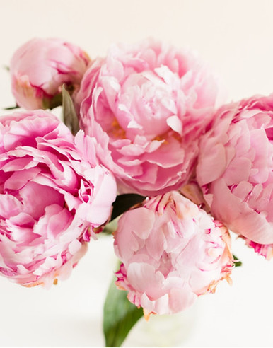 aublühende Blumen für dein persönliches Wachstum 3