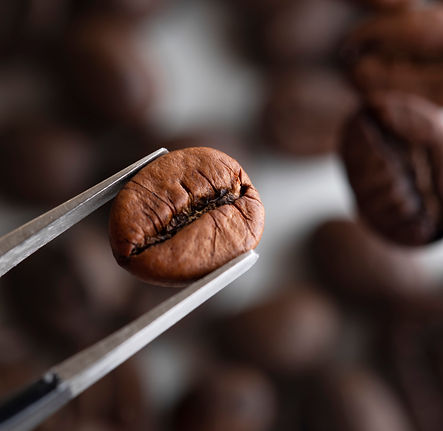 Coffee Beans Tweezers.png
