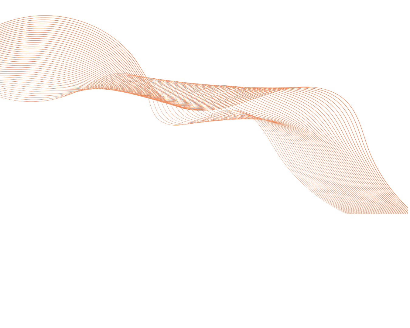 diseno 4.png