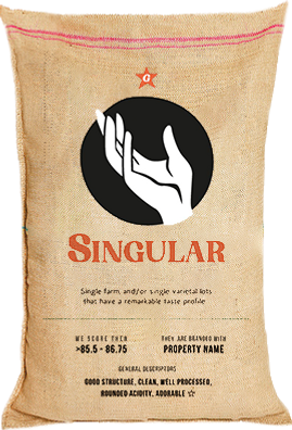 saca singular.png