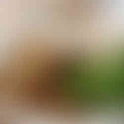 La Pêcheur - La Crêperie Servandoni