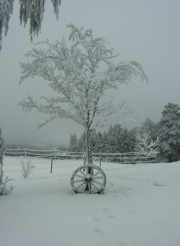 Winterimpression